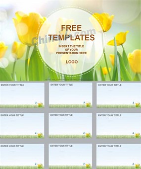 淡雅嫩芽ppt背景模板下载